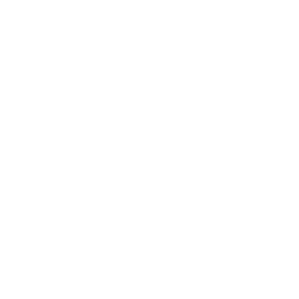 number one icon